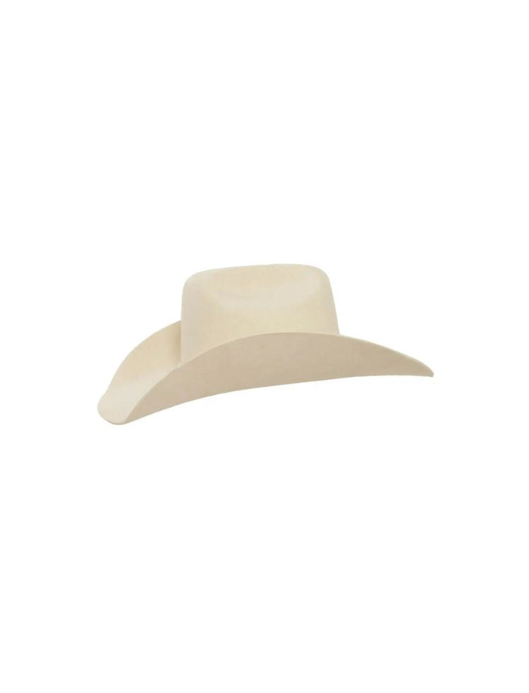 Felt Cowboy Western Hat